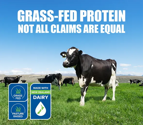 Grass-fed New Zealand dairy cows in pasture promoting PERFECT Sports grass-fed protein quality.
